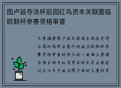 图卢兹夺法杯后因红鸟资本关联面临欧联杯参赛资格审查